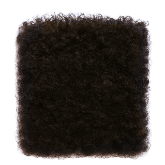 4B Texture